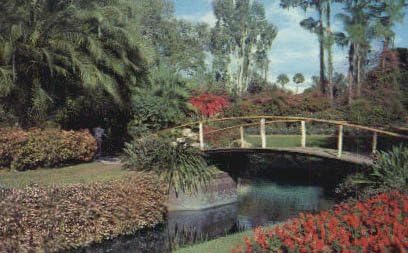 Cypress Gardens, Florida Razglednica