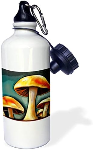 3Droza Cool Fun Slatka Goblincore Gljive Picasso Style Cubistvo čl. - boce za vodu