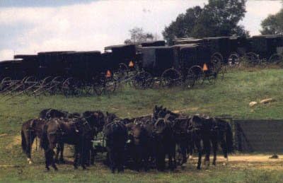 Amish Country, Ohio Razglednica