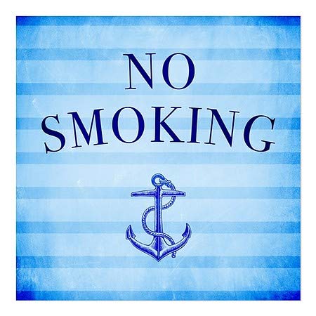 CGsignLab | Ne pušenje -nautacijske pruge prozor Cling | 5 X5